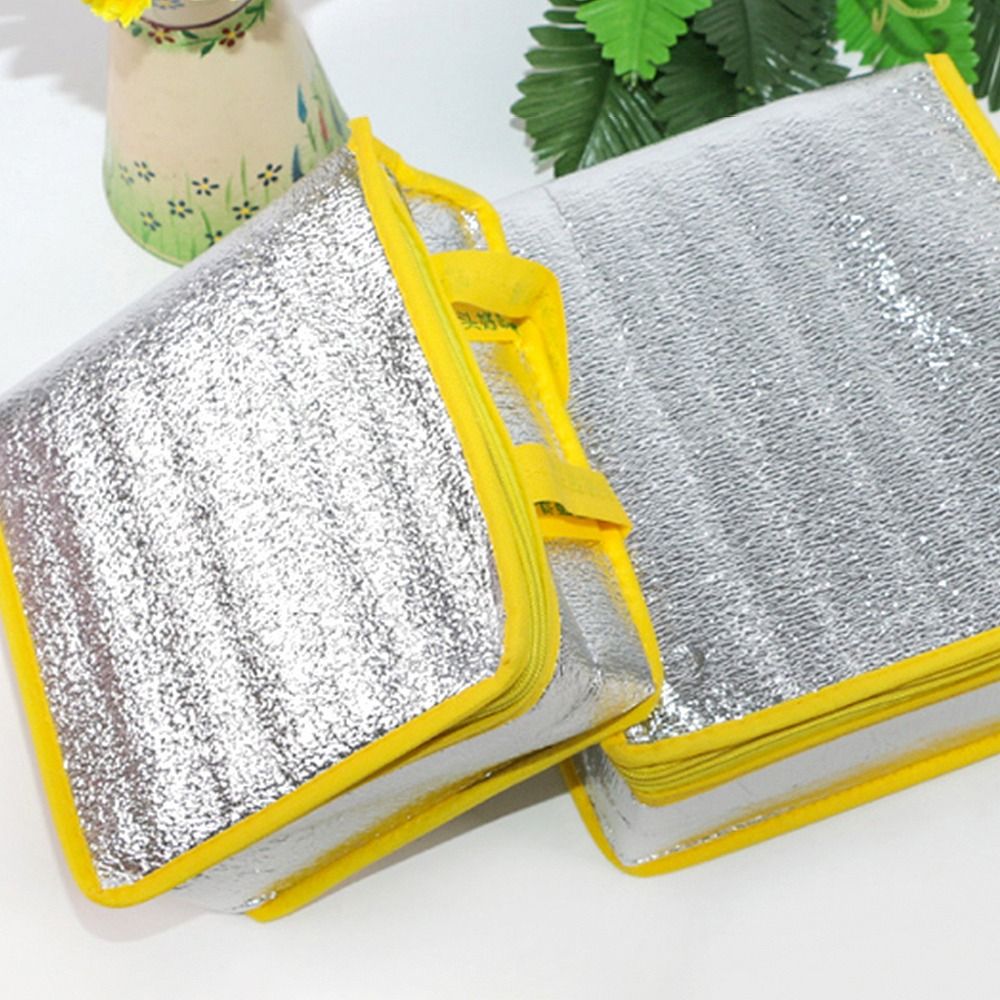 6 8 10 12 Inch Draagbare Therm - Food Snacks Delivery recensie en prijs